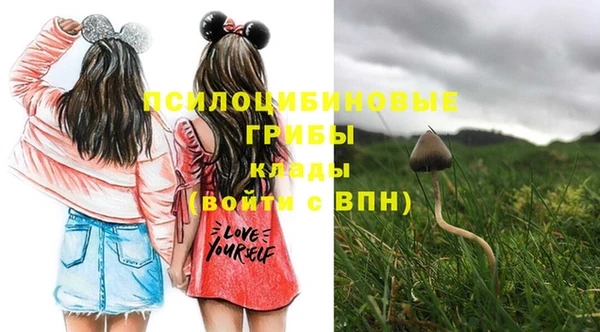 спиды Абинск