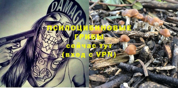 спиды Абинск