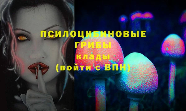 спиды Абинск