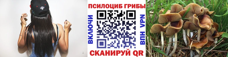 закладки  Калининград  Псилоцибиновые грибы мухоморы 