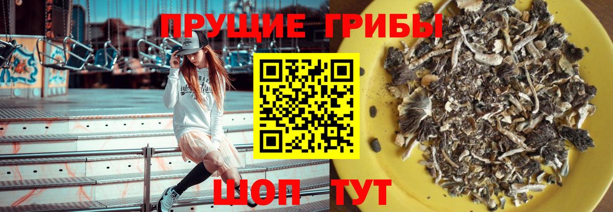 Галлюциногенные грибы мухоморы  Вход с VPN  Калининград  Галлюциногенные грибы мухоморы 