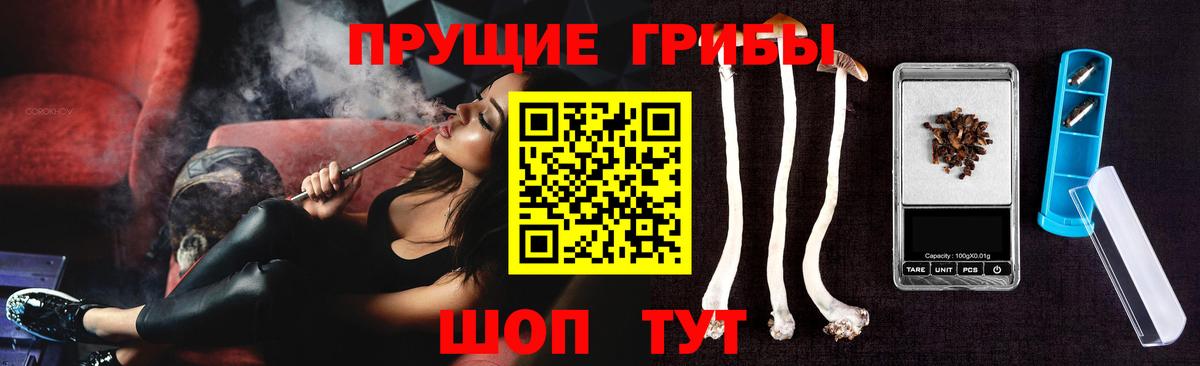 Псилоцибиновые грибы мицелий Калининград